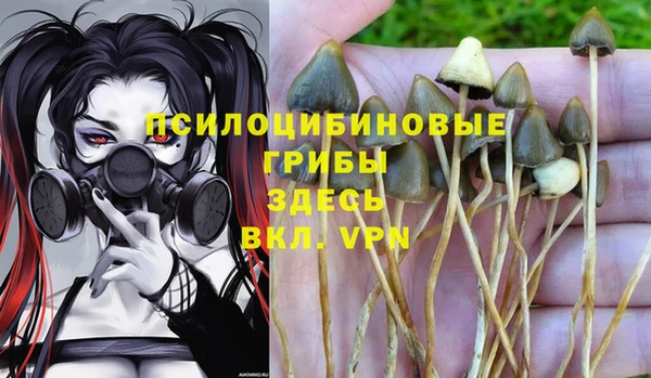 шишки Бугульма