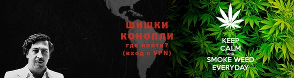 шишки Бугульма