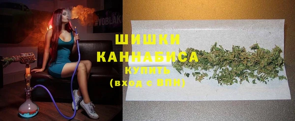 спайс Рославль