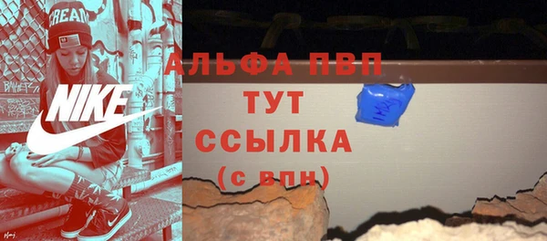 амф Бородино