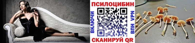 Псилоцибиновые грибы Cubensis  Бугуруслан 