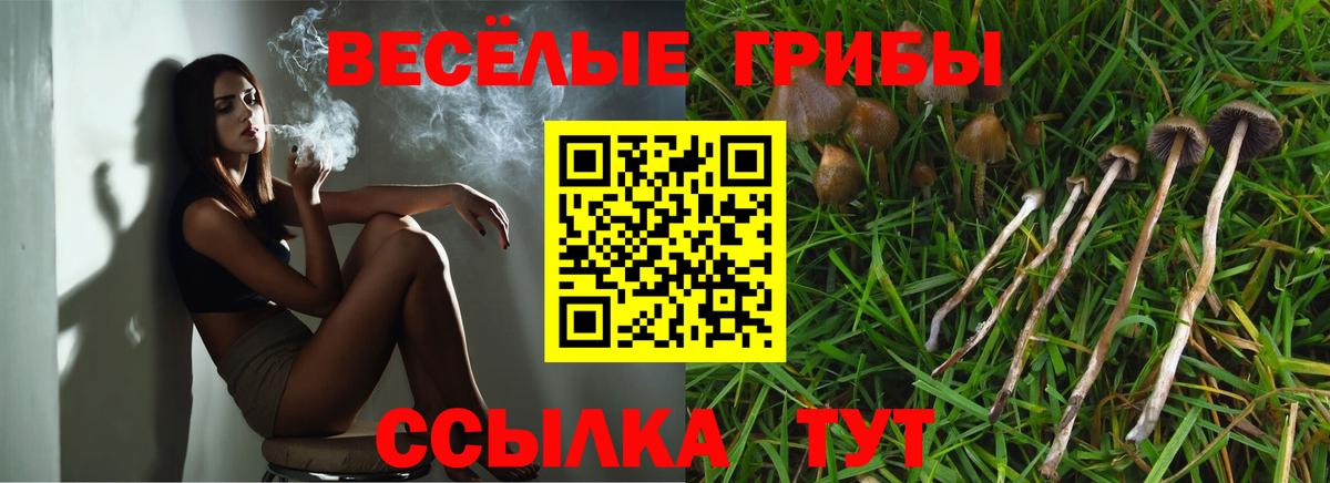 Псилоцибиновые грибы мухоморы  Псилоцибиновые грибы Psilocybine cubensis  Вход с VPN  Бугуруслан 