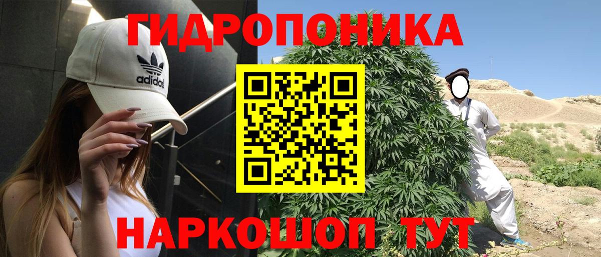 Канабис конопля  Вход с VPN  Канабис OG Kush  Марихуана сатива  Бугуруслан 